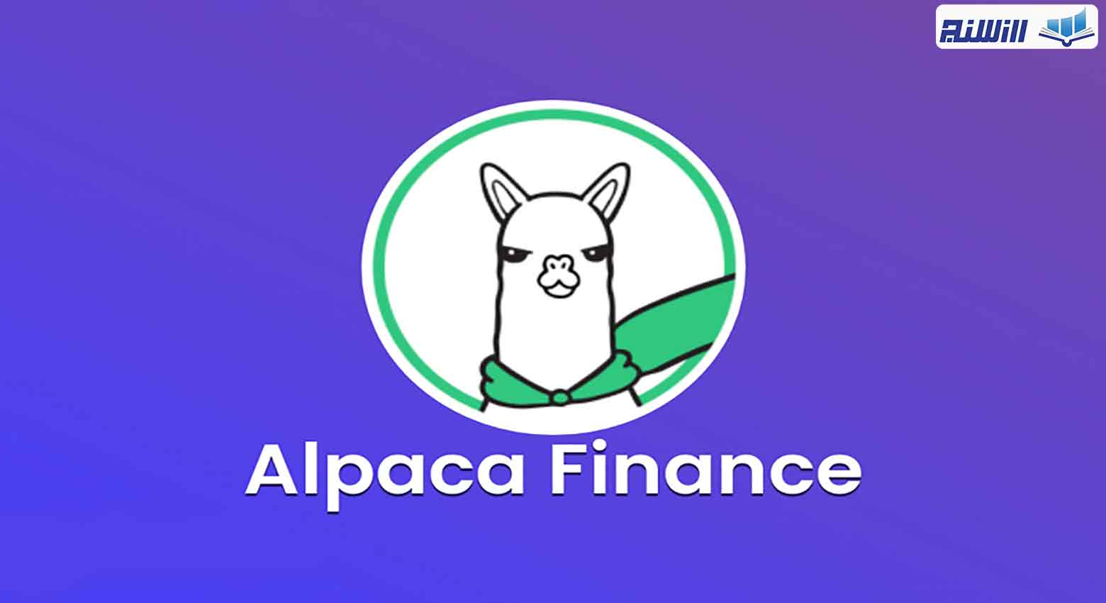 ویژگی های پلتفرم Alpaca Finance
